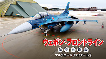 Weapon Front-Line JASDF Multirole Fighter F-2