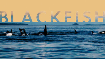 Blackfish