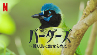 バーダーズ ～渡り鳥に魅せられて～