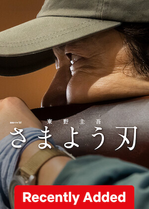 The Hovering Blade poster
