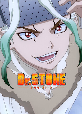 Dr. Stone